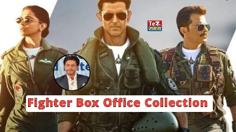 Fighter Box Office Collection