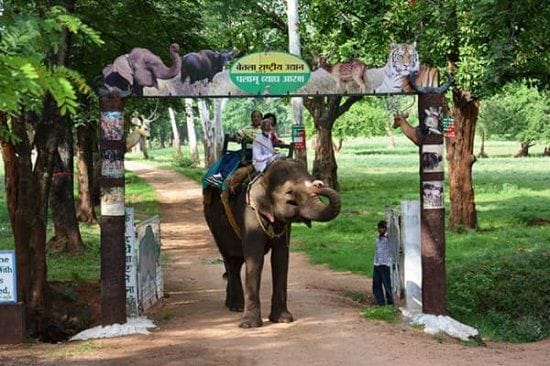 Top 5 Tourist Places In Jharkhand