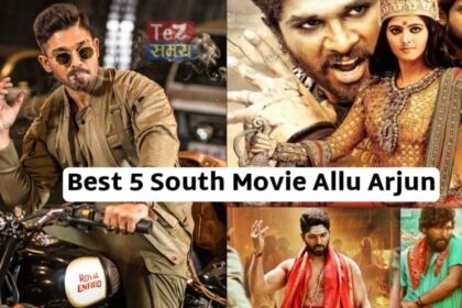 Allu Arjun Best 5 Movie In Hindi